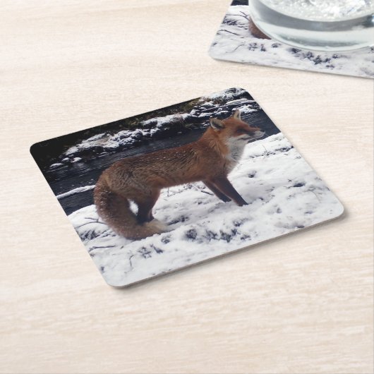 Red Fox in Snow Untersetzer (angewinkelt)