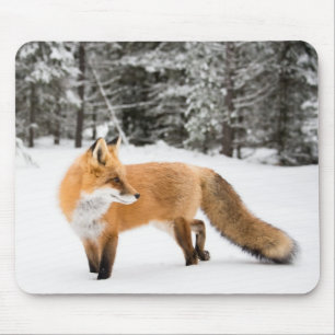 Red Fox in White Snow Mousepad