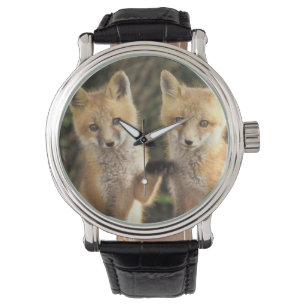 Red Fox Jungtier vor den Vulpes vulpes) Armbanduhr