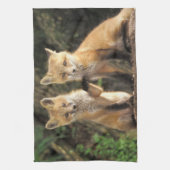 Red Fox Jungtier vor den Vulpes vulpes) Geschirrtuch (Vertikal)