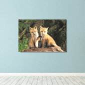 Red Fox Jungtier vor den Vulpes vulpes) Leinwanddruck (Insitu (Holzboden))