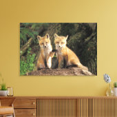 Red Fox Jungtier vor den Vulpes vulpes) Leinwanddruck (Insitu (Wohnzimmer))