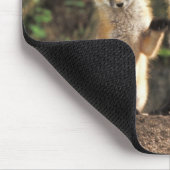 Red Fox Jungtier vor den Vulpes vulpes) Mousepad (Ecke)