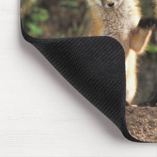 Red Fox Jungtier vor den Vulpes vulpes) Mousepad (Ecke)