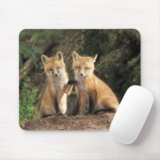 Red Fox Jungtier vor den Vulpes vulpes) Mousepad (Mit Mouse)