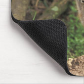 Red Fox Jungtier vor den (Vulpes vulpes) Mousepad (Ecke)