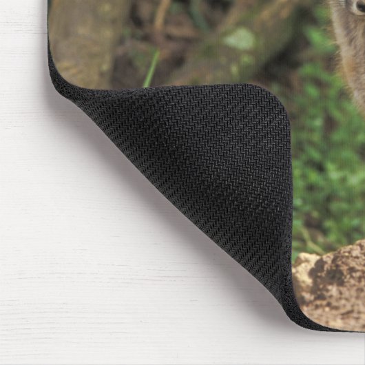 Red Fox Jungtier vor den (Vulpes vulpes) Mousepad (Ecke)