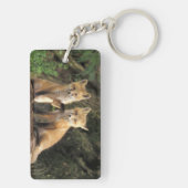 Red Fox Jungtier vor den Vulpes vulpes) Schlüsselanhänger (Rückseite)