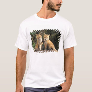 Red Fox Jungtier vor den Vulpes vulpes) T-Shirt