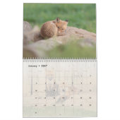 Red Fox Kalender (Jan 2027)