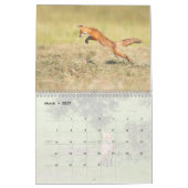 Red Fox Kalender (Mär 2027)