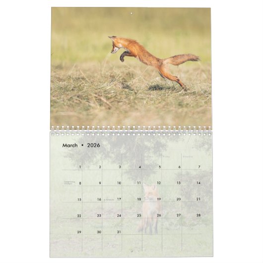 Red Fox Kalender (Mär 2026)