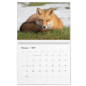 Red Fox-Kalender Kalender (Feb 2027)