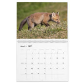 Red Fox-Kalender Kalender (Mär 2027)