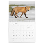 Red Fox-Kalender Kalender (Jan 2027)