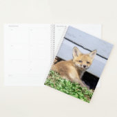 Red Fox Kit 2024 Planer (Anzeige)