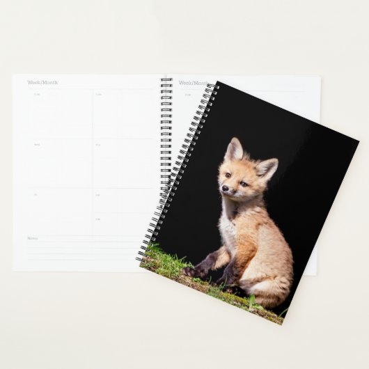 Red Fox Kit 2024 Planer (Anzeige)