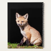 Red Fox Kit 2024 Planer (Rückseite)