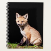Red Fox Kit 2024 Planer (Vorderseite)