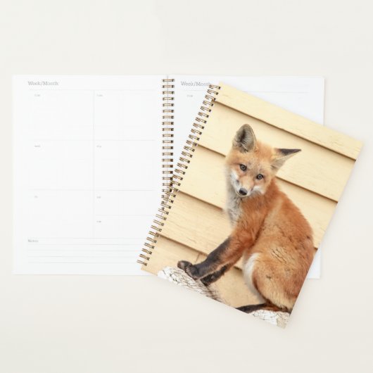 Red Fox Kit 2024 Planer (Anzeige)