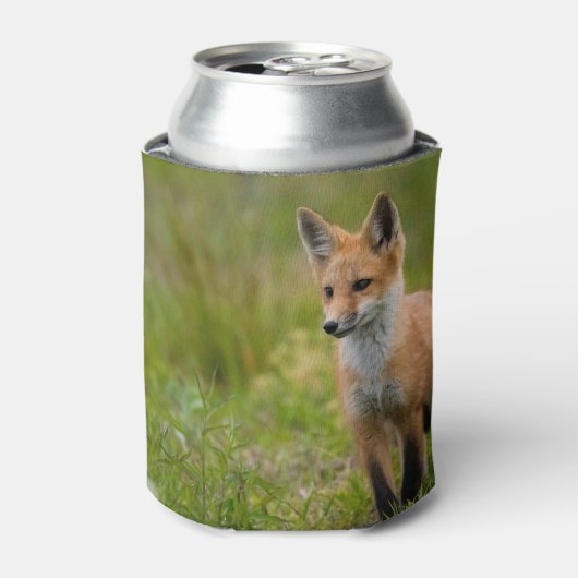 Red Fox Kit auf Graswiese Dosenkühler (Kanne Vorderseite)