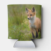 Red Fox Kit auf Graswiese Dosenkühler (Rückseite)