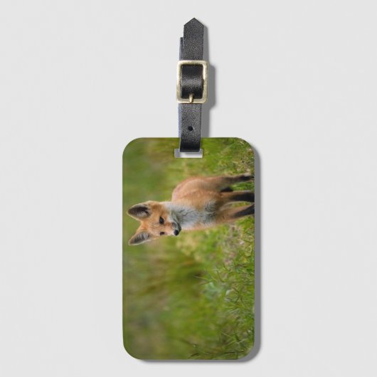 Red Fox Kit auf Graswiese Gepäckanhänger (Vorderseite Vertikal)