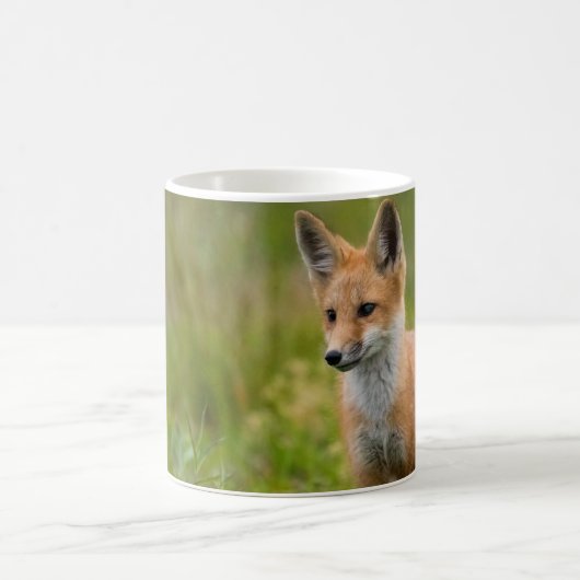 Red Fox Kit auf Graswiese Kaffeetasse (Mittel)