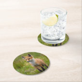 Red Fox Kit auf Graswiese Runder Pappuntersetzer (Vor Ort)