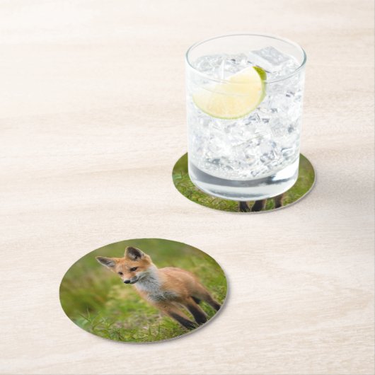 Red Fox Kit auf Graswiese Runder Pappuntersetzer (Vor Ort)