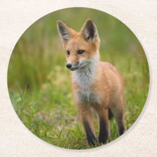 Red Fox Kit auf Graswiese Runder Pappuntersetzer