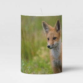 Red Fox Kit auf Graswiese Stumpenkerze