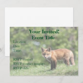Red Fox Kit Einladung (Vorne/Hinten)