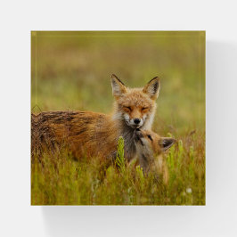 Red Fox Kit für Momma Briefbeschwerer
