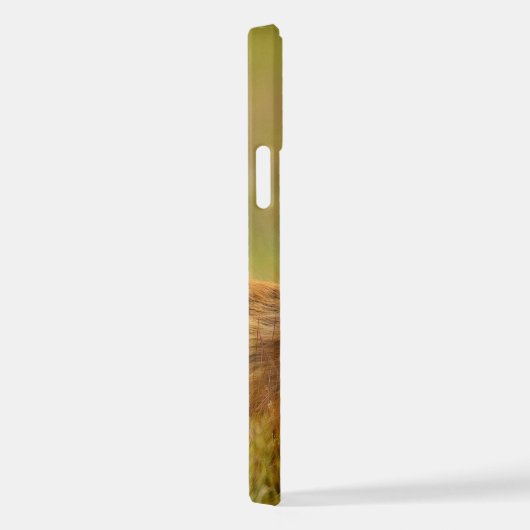 Red Fox Kit für Momma iPhone Hülle (Rechte Seite)