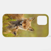 Red Fox Kit für Momma iPhone Hülle (Rückseite (Horizontal))