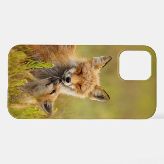 Red Fox Kit für Momma iPhone Hülle (Rückseite (Horizontal))