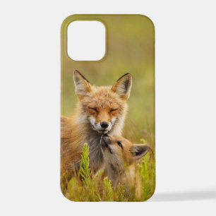 Red Fox Kit für Momma iPhone 12 Pro Hülle