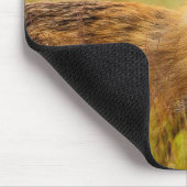 Red Fox Kit für Momma Mousepad (Ecke)