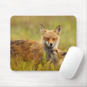 Red Fox Kit für Momma Mousepad (Mit Mouse)