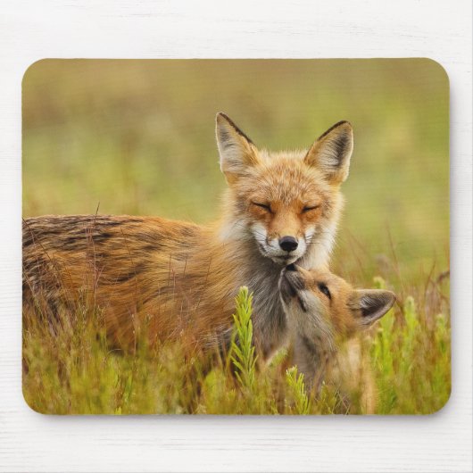 Red Fox Kit für Momma Mousepad (Vorne)