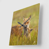 Red Fox Kit für Momma Quadratische Wanduhr (Winkel)