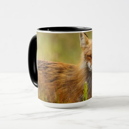 Red Fox Kit für Momma Tasse (Vorderseite Links)