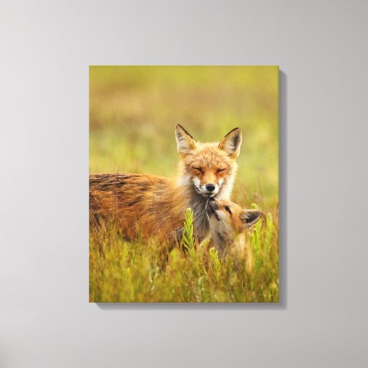 Red Fox Kit für Momma Vixen Canvas Print Leinwanddruck (Vorderseite)
