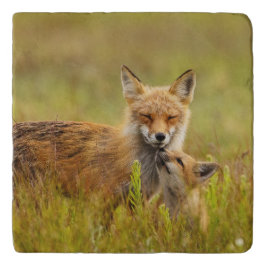 Red Fox Kit für Momma Vixen Töpfeuntersetzer