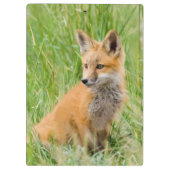 Red Fox Kit im Gras in der Nähe von Garten Klemmbrett (Rückseite)