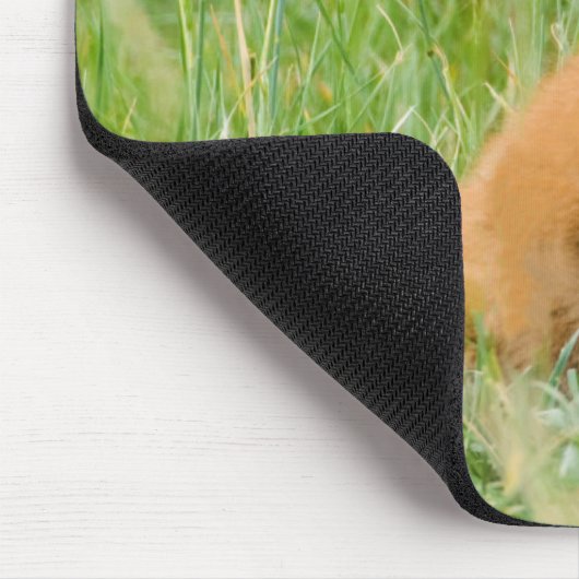 Red Fox Kit im Gras in der Nähe von Garten Mousepad (Ecke)