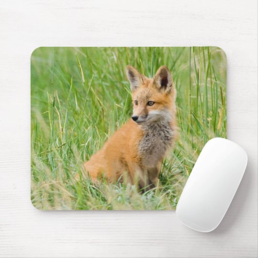 Red Fox Kit im Gras in der Nähe von Garten Mousepad (Mit Mouse)