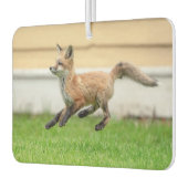 Red Fox Kit im Hudson Tal Autolufterfrischer (Links)