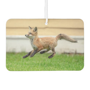 Red Fox Kit im Hudson Tal Autolufterfrischer